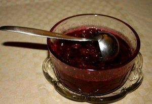 Salsa di mirtilli con il Bimby