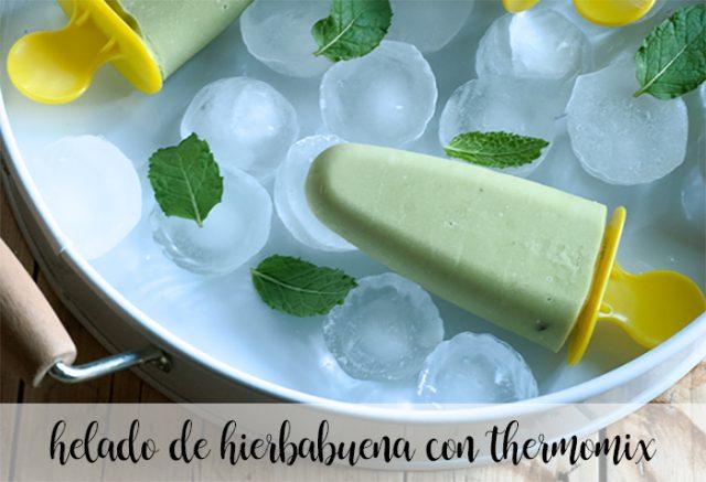 Gelato alla menta piperita con il Bimby
