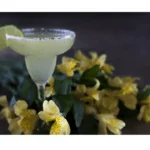 Come preparare un cocktail Margarita sul Bimby