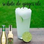 Ginger ale o sorbetto allo zenzero con Bimby