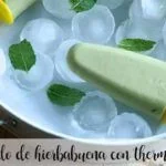 Ghiaccioli alla menta piperita con il Bimby