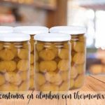 Castagne sciroppate con Bimby