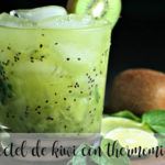 cocktail di kiwi con il Bimby