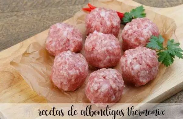 Ricette di polpette con il Bimby