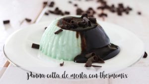 Panna cotta al cioccolato e menta con Bimby