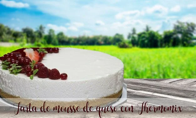 Torta mousse al formaggio con Bimby