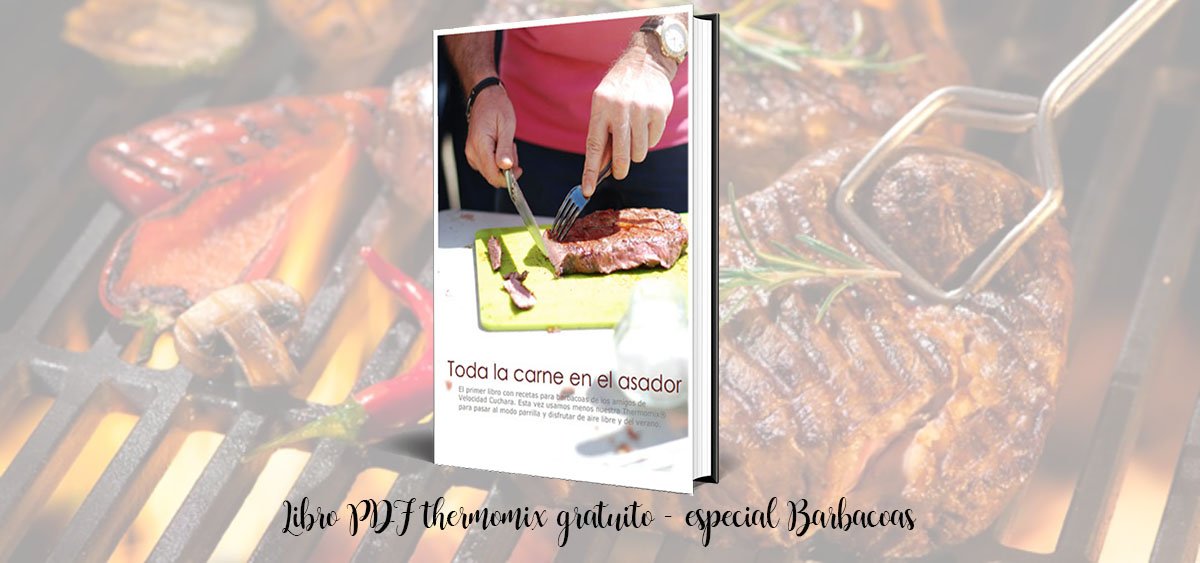 Libro PDF thermomix gratuito - especial Barbacoas