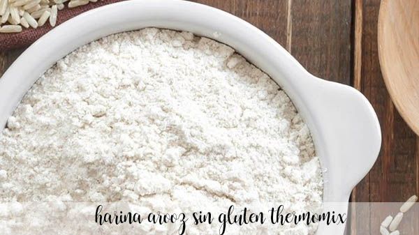Farina di riso senza glutine con Bimby