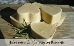 Sapone fatto in casa all’Aloe Vera con Bimby