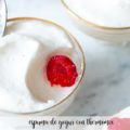 Espuma de yogur con Thermomix