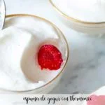 Espuma de yogur con Thermomix