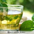 Infusi&oacute;n de menta con Thermomix