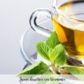 Tisana diur&eacute;tica con thermomix