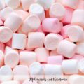 Malvaviscos con thermomix