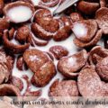 chocapics con thermomix cereales de chocolate