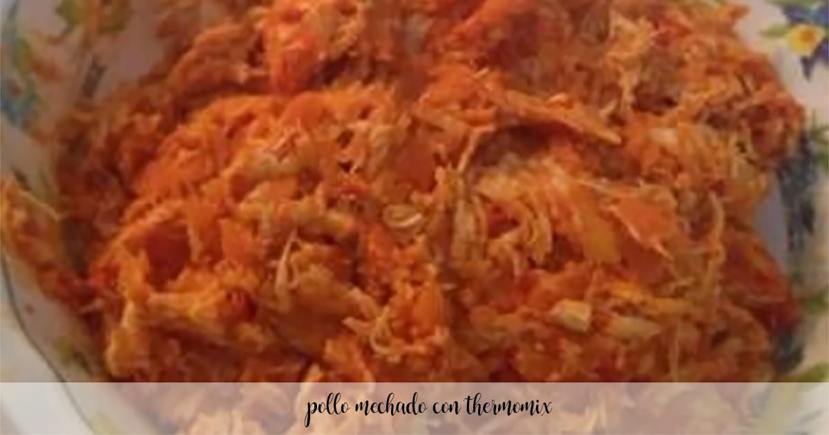 pollo tritato con Bimby