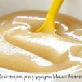 papilla de manzana, pera y yogur para bebes con thermomix