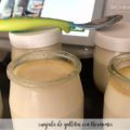 Guajaca de galletas con Thermomix