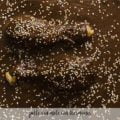 Pollo con mole con Thermomix