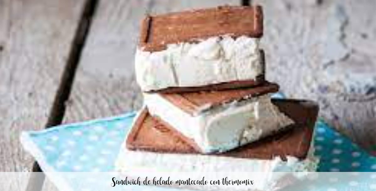 Panino gelato con Bimby