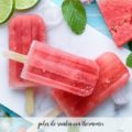 polos de sandia con thermomix