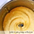 Sorbete de pi&ntilde;a y mango con thermomix