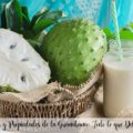 Beneficios y Propiedades de la Guan&aacute;bana: Todo lo que Debes Saber