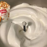 Gelato MCFlurry con biscotti Lotus con Thermomix - La novità di McDonald's